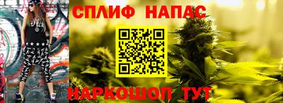 бошки Шебекино