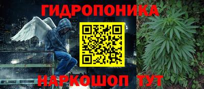 скорость Шелехов