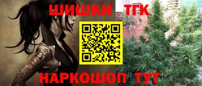 скорость Шелехов