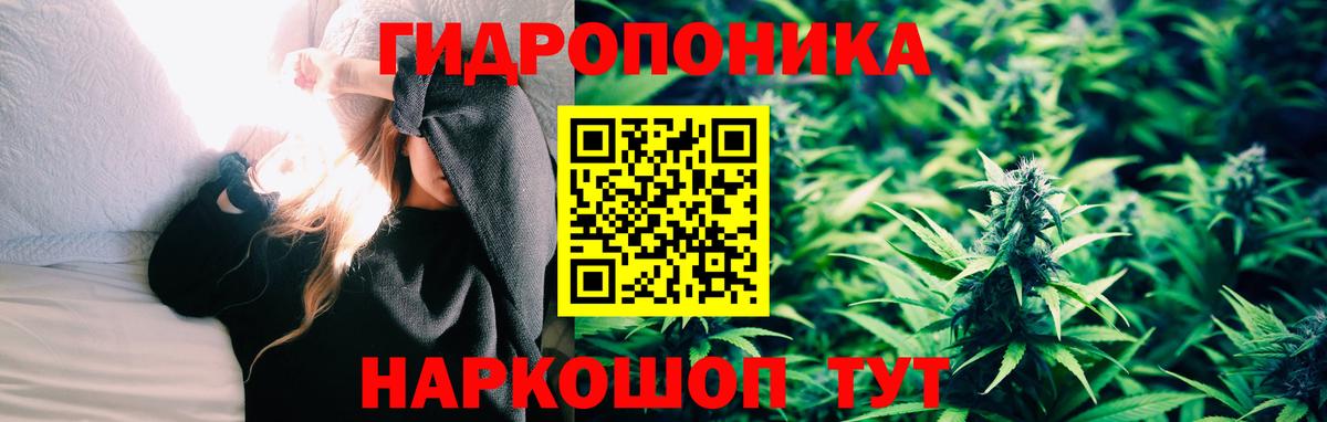 Шишки марихуана гибрид  Шишки марихуана семена  Солнечногорск  Канабис THC 21%  Шишки марихуана SATIVA & INDICA  Вход с VPN 
